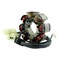 Rmstator Stator for Honda TRX250TE TRX250TM Fourtrax Recon TRX 250 TM TE 2005-2020 RM01153 - alternate 2